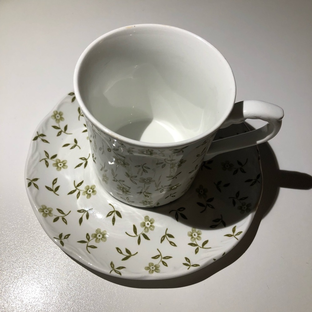 Vintage MEAKIN J & G flat cup & saucer set
